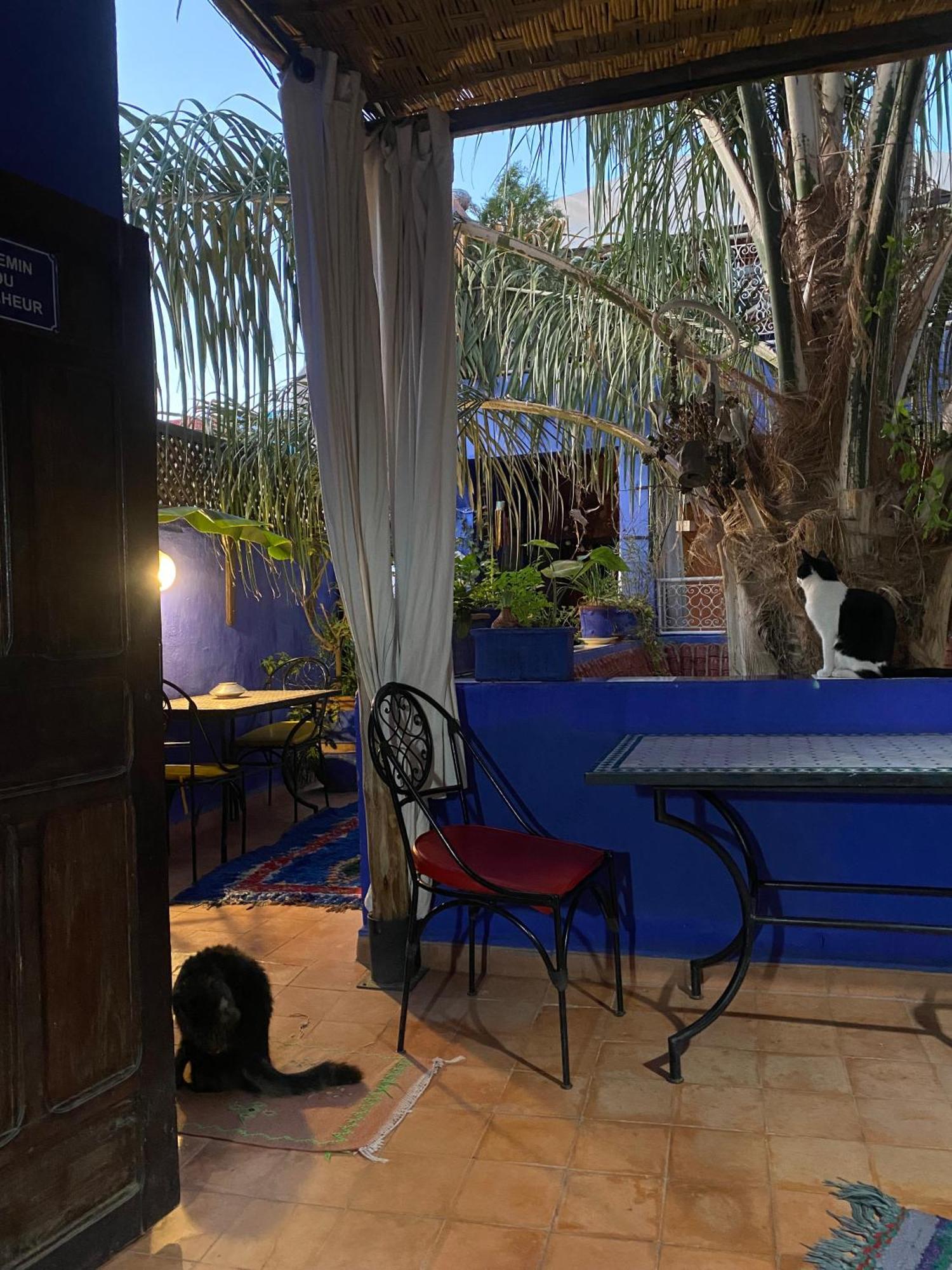 Riad Alamine Marrakesh Ngoại thất bức ảnh
