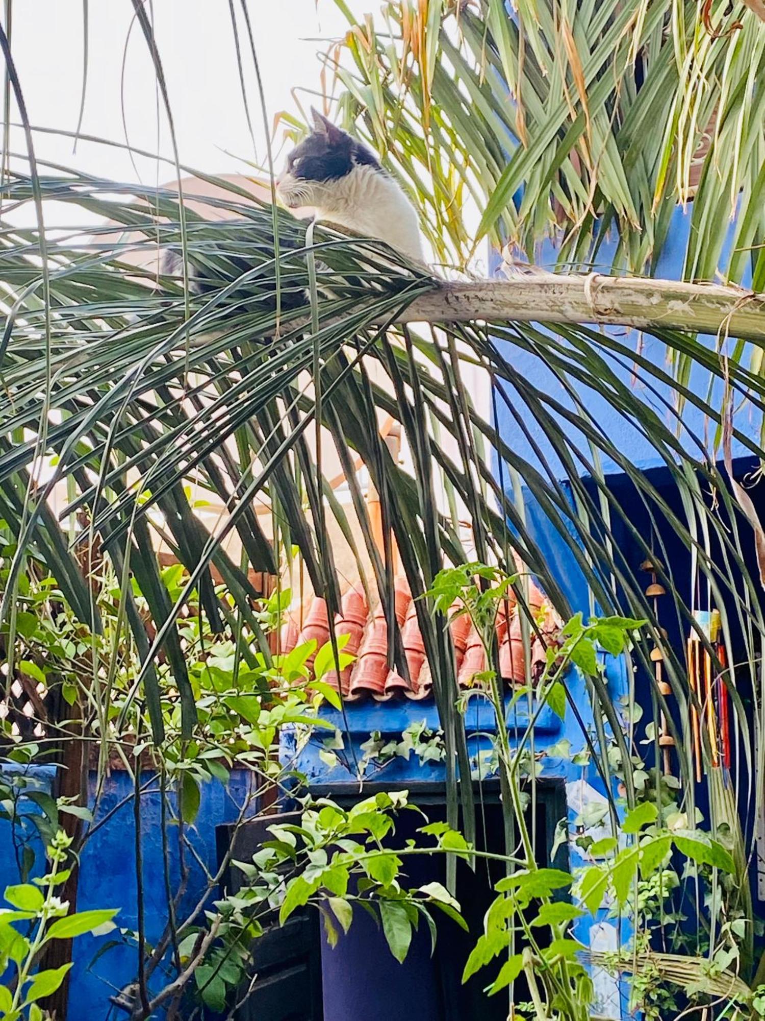 Riad Alamine Marrakesh Ngoại thất bức ảnh