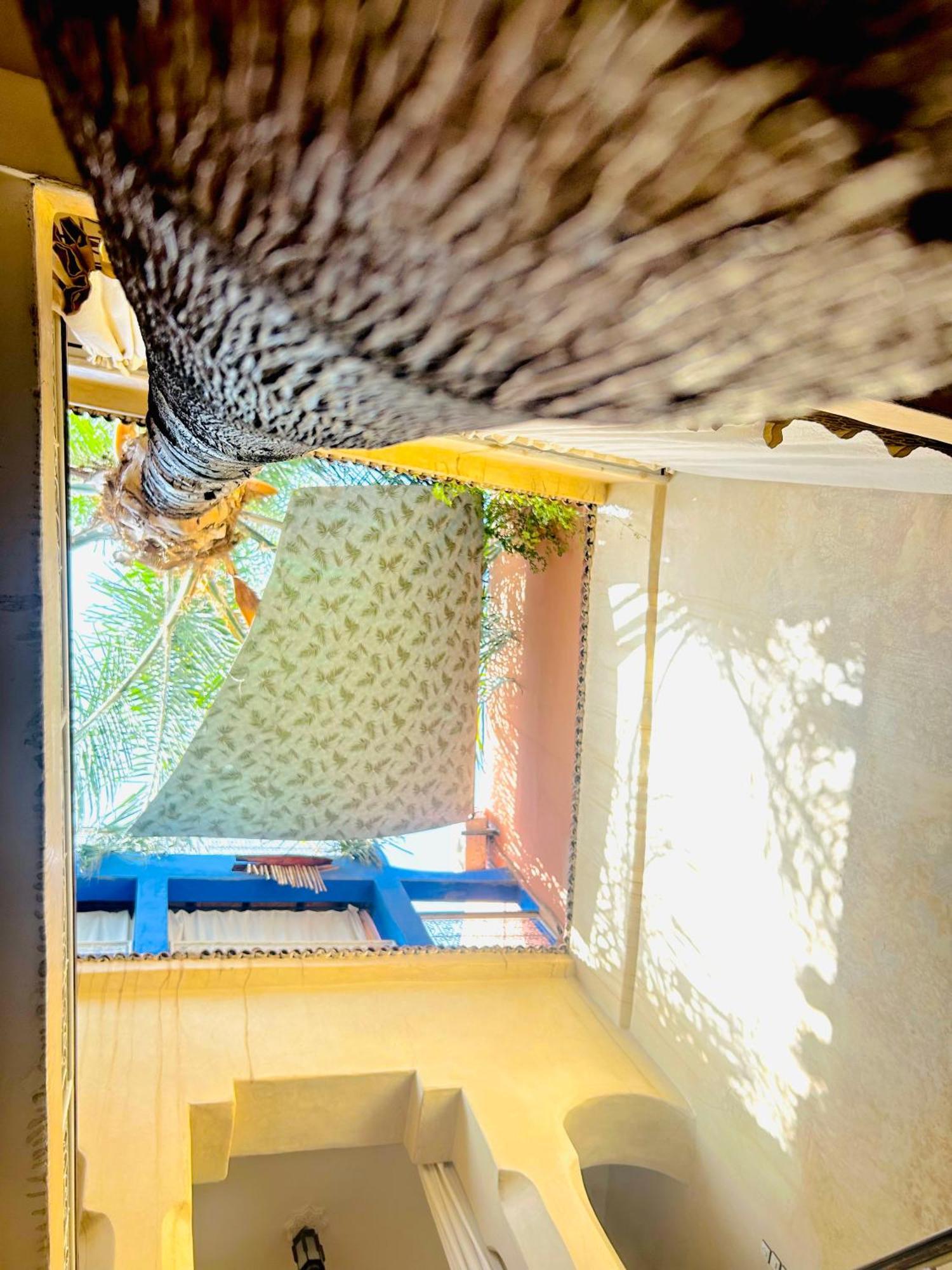 Riad Alamine Marrakesh Ngoại thất bức ảnh