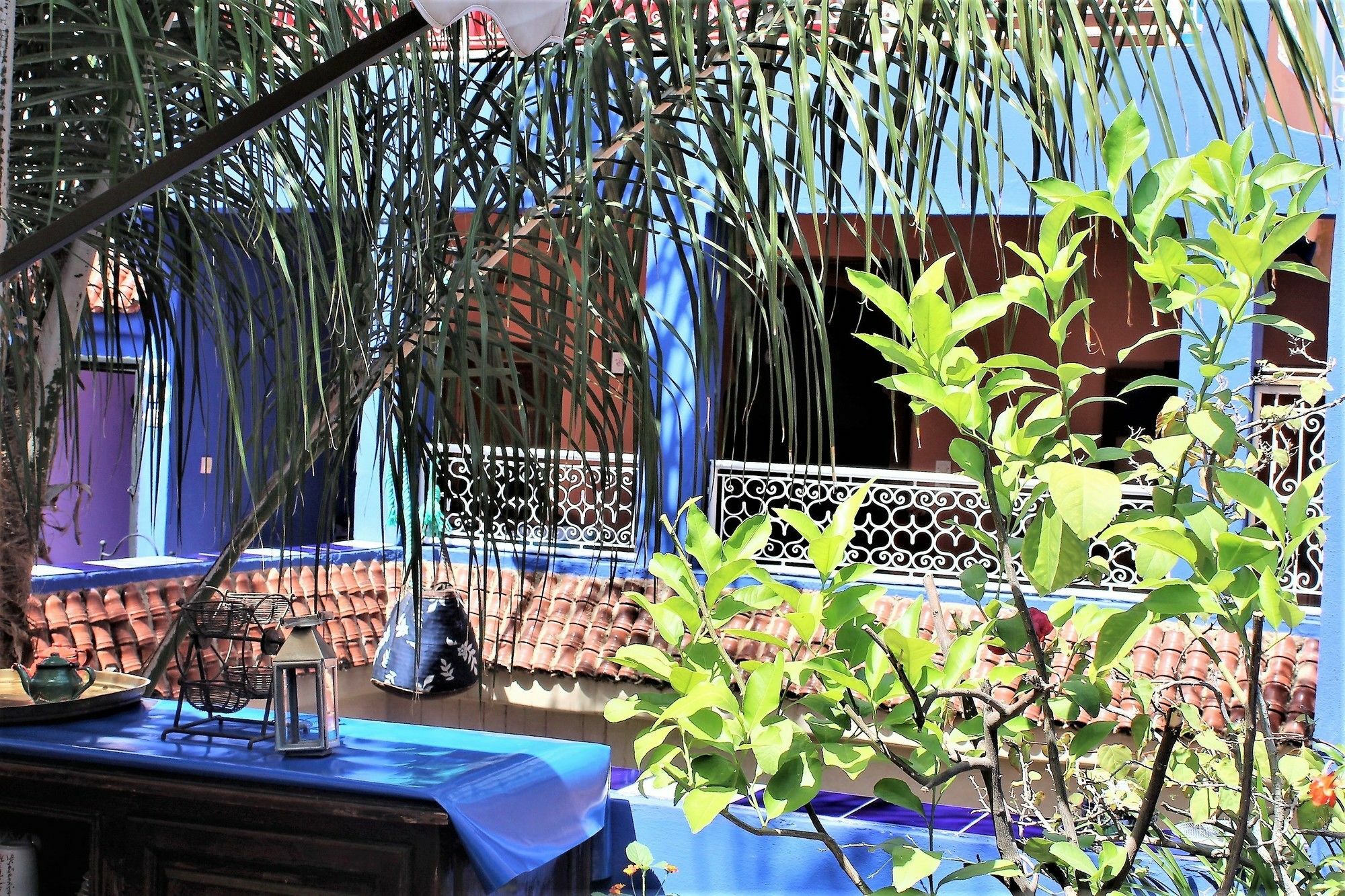 Riad Alamine Marrakesh Ngoại thất bức ảnh